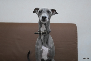 hunter (3)