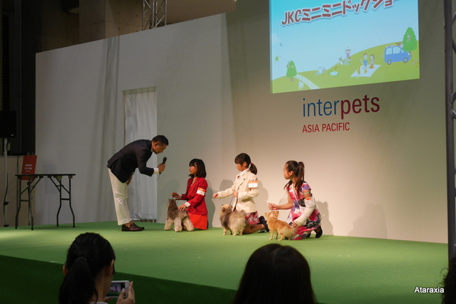 interpets2014_ataraxia (23)