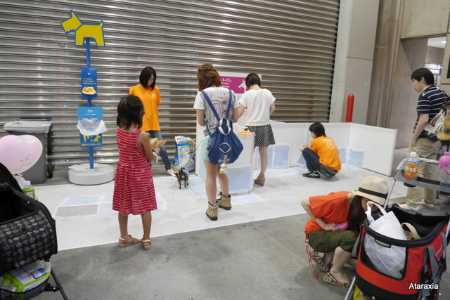 interpets2014_ataraxia (31)