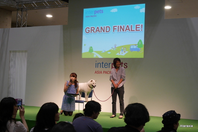 interpets2014_ataraxia (37)
