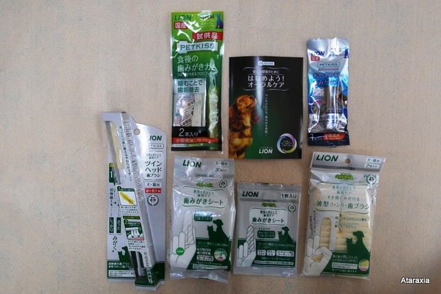 liondentalcare
